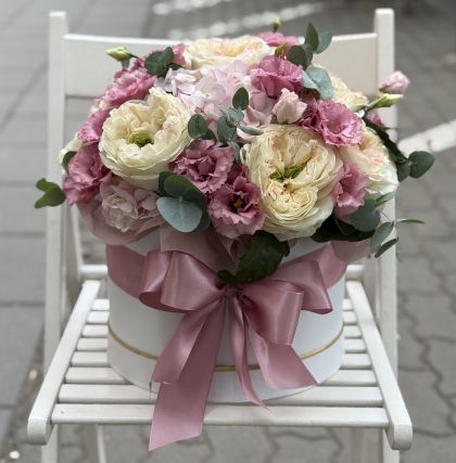 Кутия  Амелия