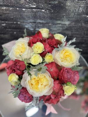 Кутия Аурелия